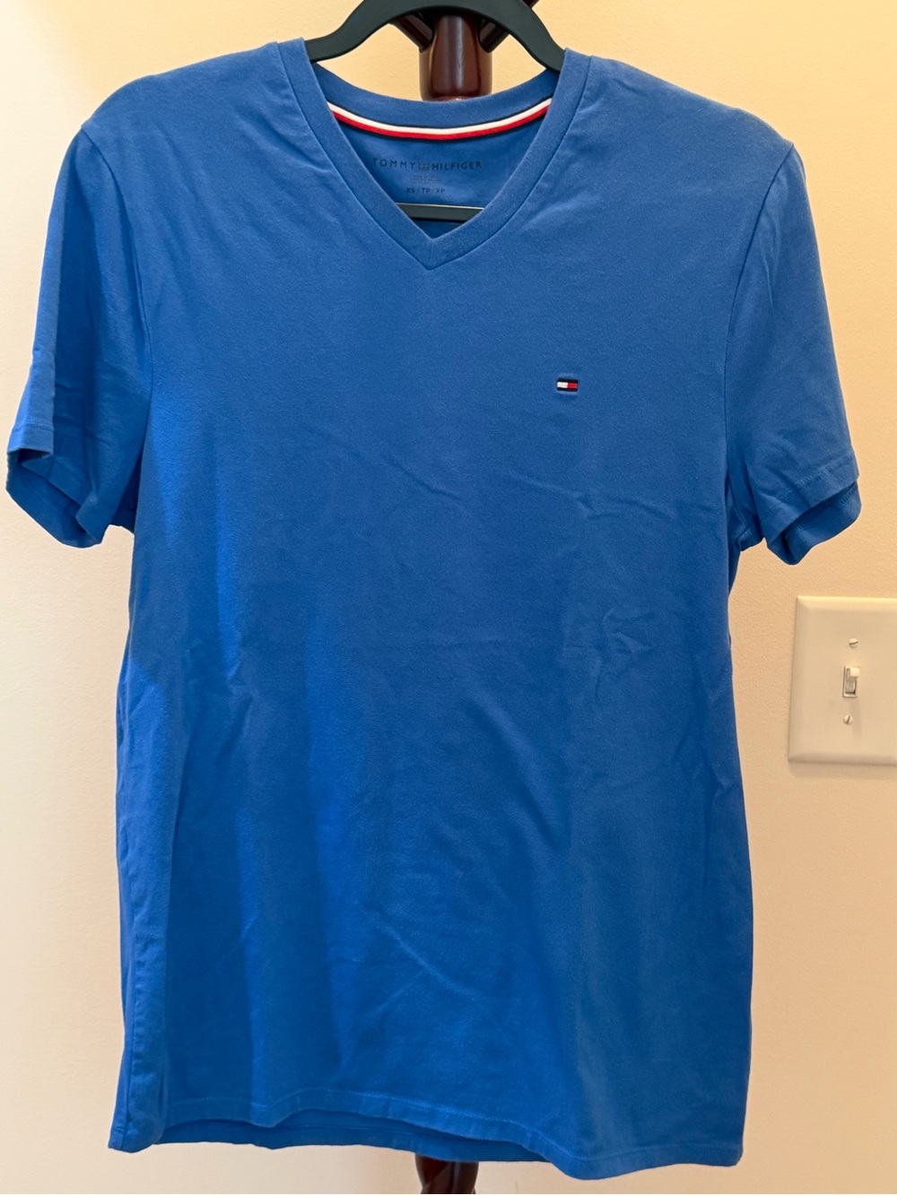Tommy Hilfiger Men's V-Neck Tee in Blue